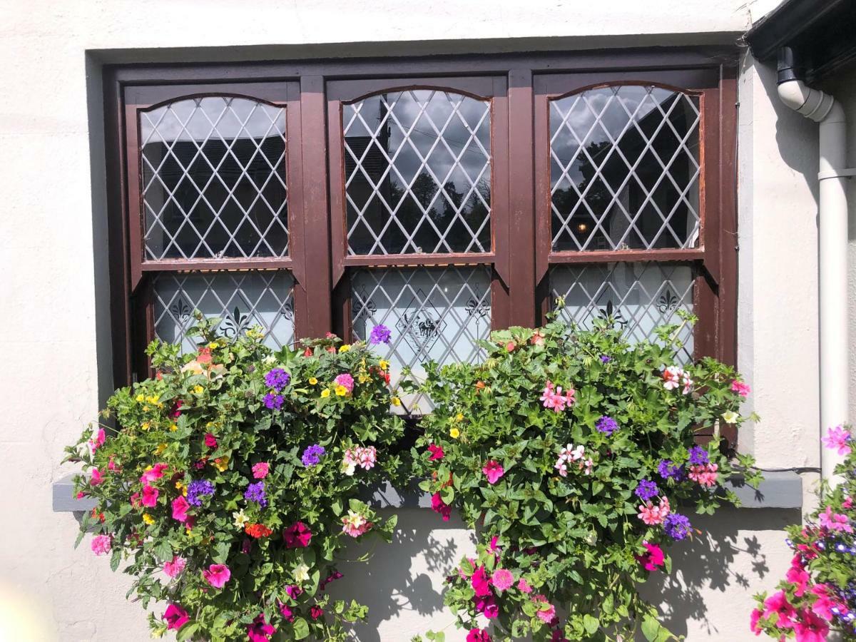 Chester Beatty Inn Ashford المظهر الخارجي الصورة